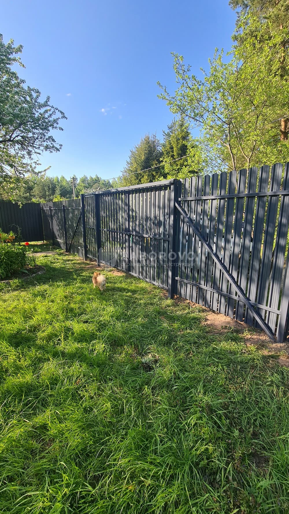 Распашные ворота графитовые (RAL 7024) - изображение